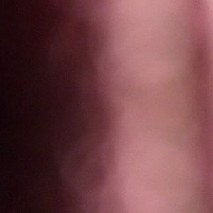 Meet your Posher, Holly